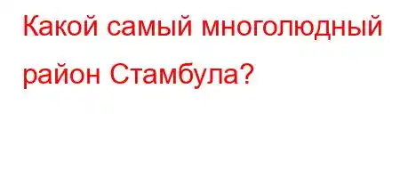 Какой самый многолюдный район Стамбула?